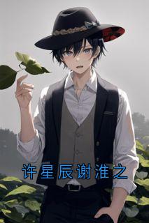 许星辰谢淮之