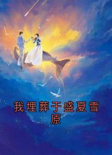 我埋葬于盛夏雪原