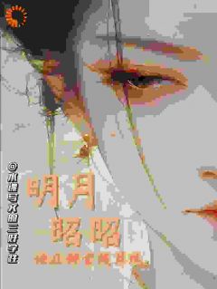 明月昭昭：她在朝堂拨算珠
