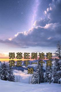 弹幕狂刷追妻我反手一个离婚
