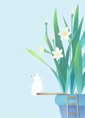 代写作业爆火后，弹幕非要养我