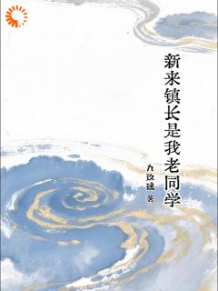 新来镇长是我老同学