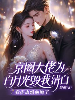 京圈大佬为白月光毁我清白，我提离婚他悔了