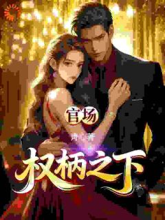 官路：权柄之下