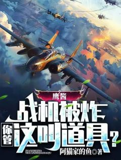 鹰酱战机被炸，你管这叫道具？