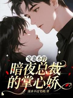宠妻不停：暗夜总裁的掌心娇