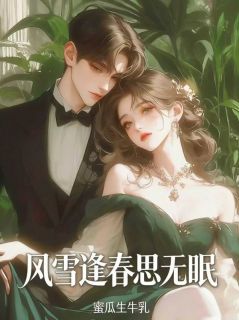 风雪逢春思无眠