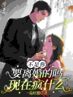 不是你要离婚的吗，现在疯什么
