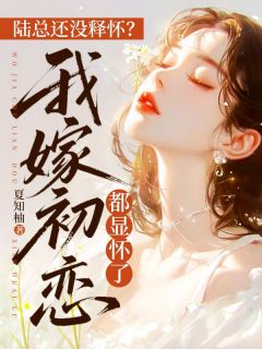 陆总还没释怀？我嫁初恋都显怀了