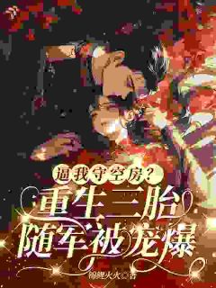 逼我守空房？重生三胎随军被宠爆