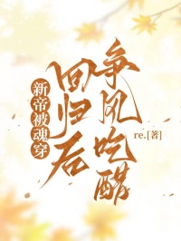 新帝被魂穿，回归后争风吃醋