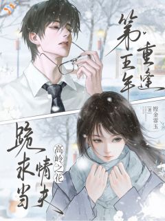 第五年重逢，高岭之花跪求当情夫