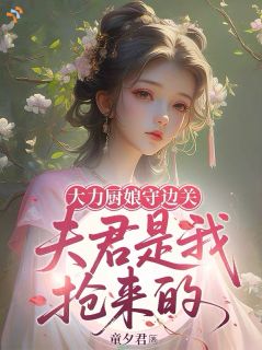 大力厨娘守边关，夫君是我抢来的