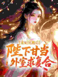 宠妃死遁后，陛下甘当外室求复合
