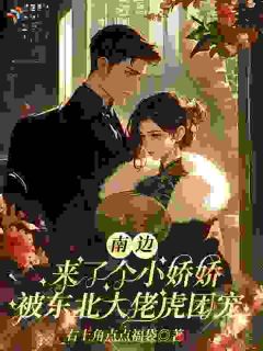 南边来了个小娇娇，被东北大佬虎团宠