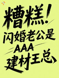 糟糕！闪婚老公是AAA建材王总