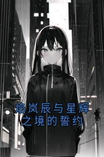 焰岚辰与星辉之境的誓约