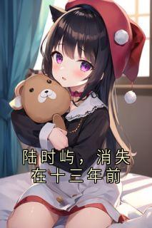 陆时屿，消失在十三年前