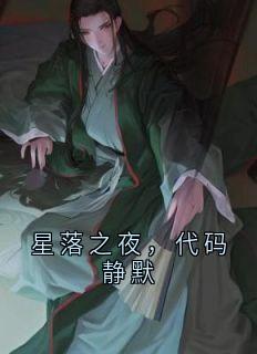 星落之夜，代码静默