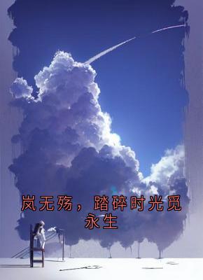 岚无殇，踏碎时光觅永生