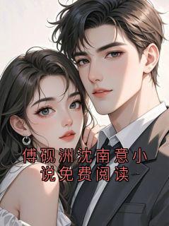 傅砚洲沈南意小说免费阅读
