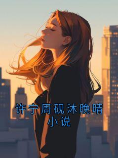 许宁周砚沐晚晴小说